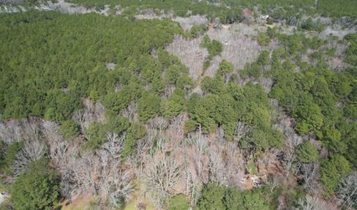Photo #4 of SOLD property in Off Mini Road, Accomac, VA 15.0 acres