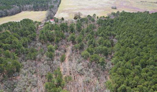 Photo #2 of SOLD property in Off Mini Road, Accomac, VA 15.0 acres