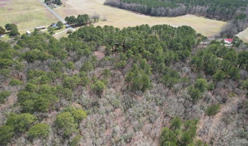Photo #5 of SOLD property in Off Mini Road, Accomac, VA 15.0 acres