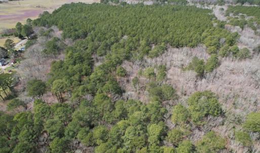 Photo #3 of SOLD property in Off Mini Road, Accomac, VA 15.0 acres