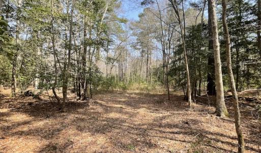 Photo #8 of SOLD property in Off Mini Road, Accomac, VA 15.0 acres