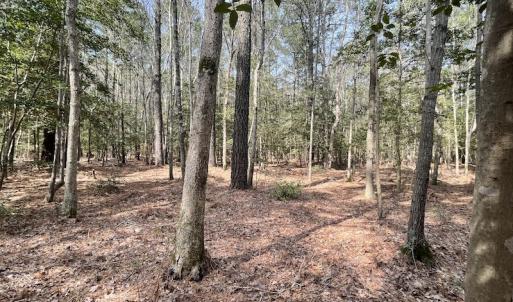 Photo #9 of SOLD property in Off Mini Road, Accomac, VA 15.0 acres