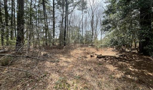 Photo #10 of SOLD property in Off Mini Road, Accomac, VA 15.0 acres