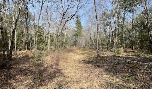 Photo #12 of SOLD property in Off Mini Road, Accomac, VA 15.0 acres