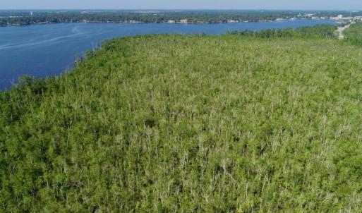 Photo #2 of SOLD property in Off Nc Hwy 158 Causeway, Camden, NC 160.0 acres