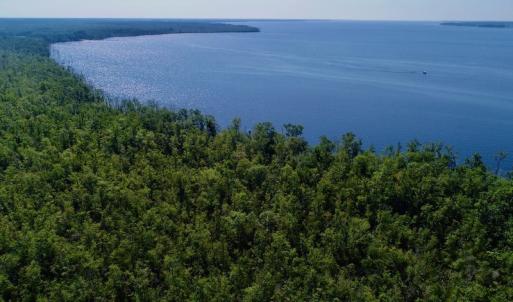 Photo #5 of SOLD property in Off Nc Hwy 158 Causeway, Camden, NC 160.0 acres