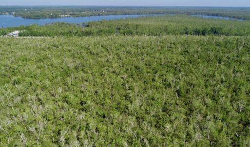 Photo #6 of SOLD property in Off Nc Hwy 158 Causeway, Camden, NC 160.0 acres