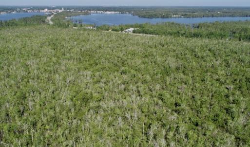 Photo #7 of SOLD property in Off Nc Hwy 158 Causeway, Camden, NC 160.0 acres