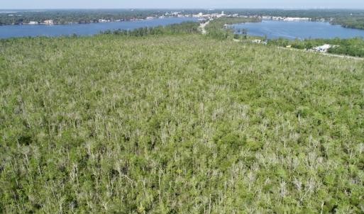 Photo #8 of SOLD property in Off Nc Hwy 158 Causeway, Camden, NC 160.0 acres