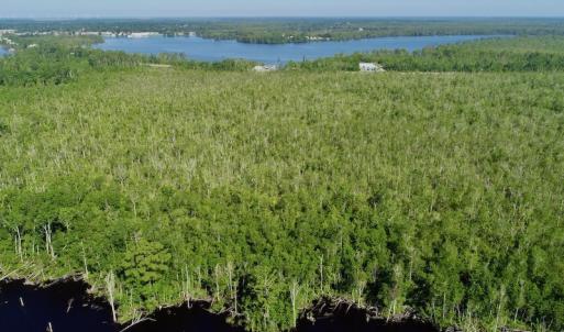 Photo #10 of SOLD property in Off Nc Hwy 158 Causeway, Camden, NC 160.0 acres