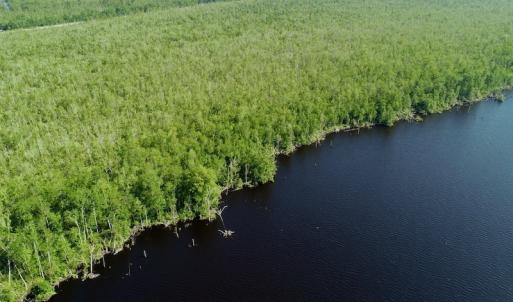 Photo #13 of SOLD property in Off Nc Hwy 158 Causeway, Camden, NC 160.0 acres