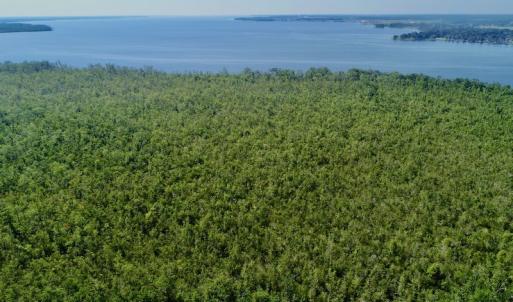 Photo #14 of SOLD property in Off Nc Hwy 158 Causeway, Camden, NC 160.0 acres