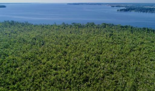 Photo #16 of SOLD property in Off Nc Hwy 158 Causeway, Camden, NC 160.0 acres