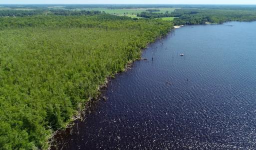 Photo #17 of SOLD property in Off Nc Hwy 158 Causeway, Camden, NC 160.0 acres