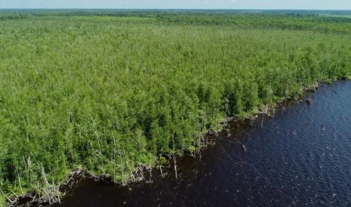 Photo #18 of SOLD property in Off Nc Hwy 158 Causeway, Camden, NC 160.0 acres