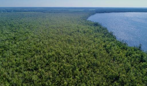 Photo #19 of SOLD property in Off Nc Hwy 158 Causeway, Camden, NC 160.0 acres