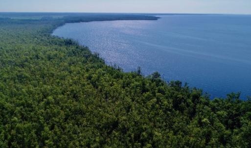 Photo #20 of SOLD property in Off Nc Hwy 158 Causeway, Camden, NC 160.0 acres