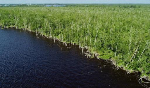Photo #21 of SOLD property in Off Nc Hwy 158 Causeway, Camden, NC 160.0 acres