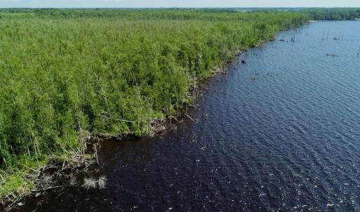 Photo #22 of SOLD property in Off Nc Hwy 158 Causeway, Camden, NC 160.0 acres