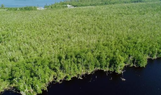 Photo #23 of SOLD property in Off Nc Hwy 158 Causeway, Camden, NC 160.0 acres