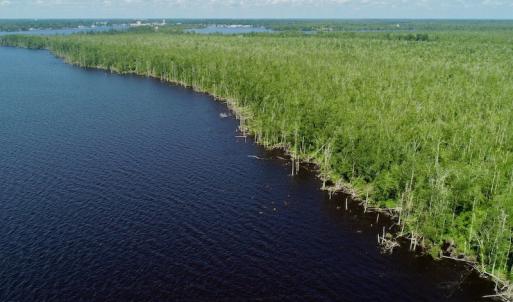 Photo #25 of SOLD property in Off Nc Hwy 158 Causeway, Camden, NC 160.0 acres