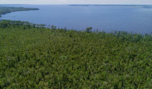 Photo #26 of SOLD property in Off Nc Hwy 158 Causeway, Camden, NC 160.0 acres