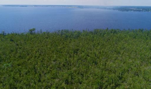 Photo #27 of SOLD property in Off Nc Hwy 158 Causeway, Camden, NC 160.0 acres