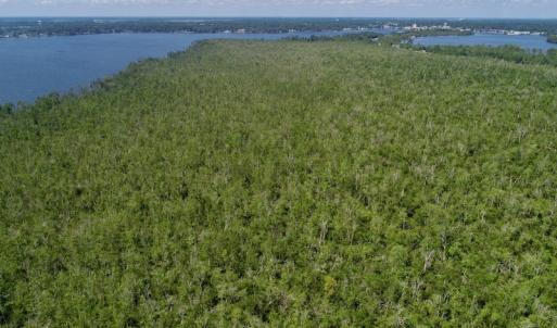 Photo #28 of SOLD property in Off Nc Hwy 158 Causeway, Camden, NC 160.0 acres