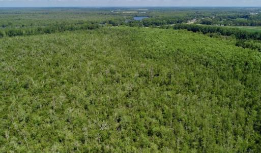 Photo #30 of SOLD property in Off Nc Hwy 158 Causeway, Camden, NC 160.0 acres