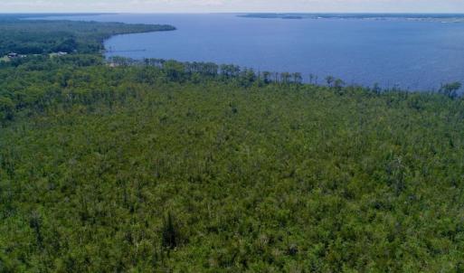 Photo #31 of SOLD property in Off Nc Hwy 158 Causeway, Camden, NC 160.0 acres