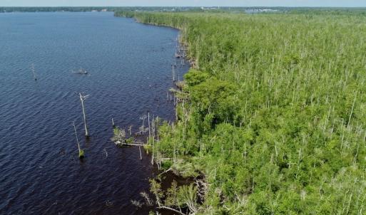 Photo #32 of SOLD property in Off Nc Hwy 158 Causeway, Camden, NC 160.0 acres