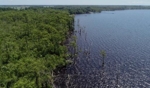 Photo #33 of SOLD property in Off Nc Hwy 158 Causeway, Camden, NC 160.0 acres