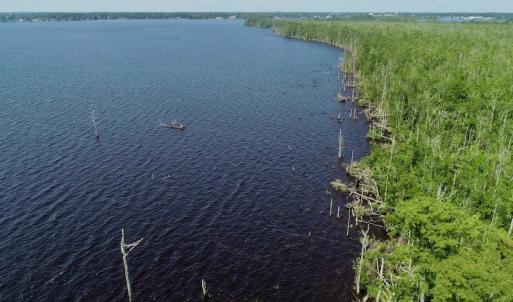 Photo #34 of SOLD property in Off Nc Hwy 158 Causeway, Camden, NC 160.0 acres