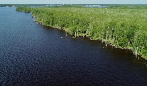 Photo #35 of SOLD property in Off Nc Hwy 158 Causeway, Camden, NC 160.0 acres