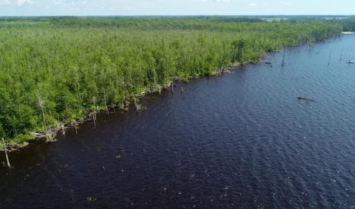 Photo #36 of SOLD property in Off Nc Hwy 158 Causeway, Camden, NC 160.0 acres