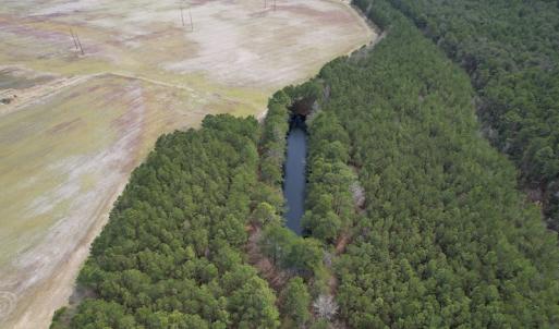 Photo #10 of Off Mini Road, Onley, VA 119.4 acres