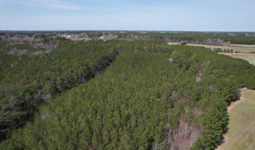 Photo #12 of Off Mini Road, Onley, VA 119.4 acres