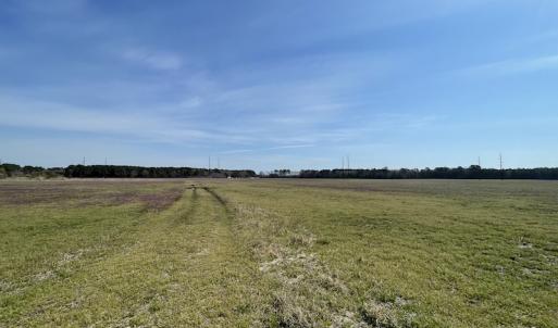 Photo #14 of Off Mini Road, Onley, VA 119.4 acres