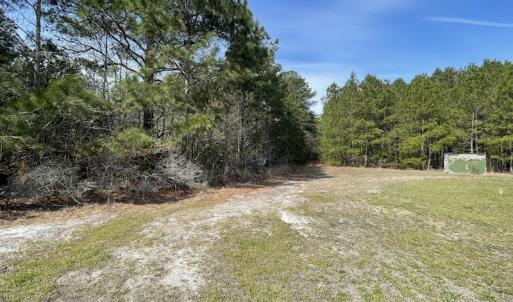 Photo #15 of Off Mini Road, Onley, VA 119.4 acres