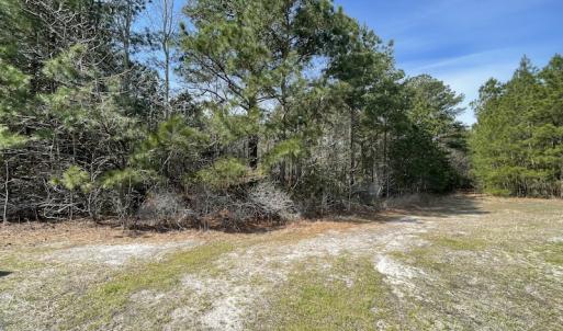 Photo #16 of Off Mini Road, Onley, VA 119.4 acres