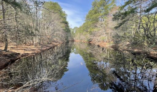 Photo #17 of Off Mini Road, Onley, VA 119.4 acres