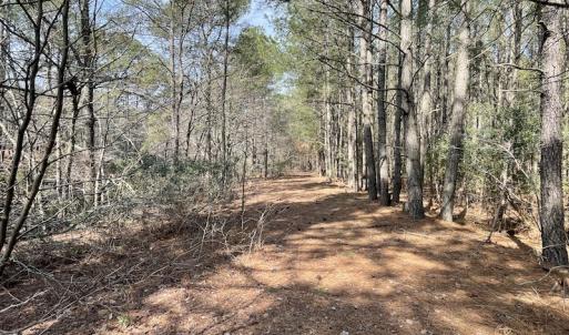 Photo #19 of Off Mini Road, Onley, VA 119.4 acres