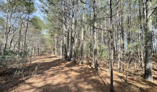 Photo #21 of Off Mini Road, Onley, VA 119.4 acres