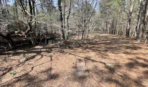 Photo #22 of Off Mini Road, Onley, VA 119.4 acres
