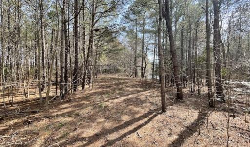 Photo #23 of Off Mini Road, Onley, VA 119.4 acres
