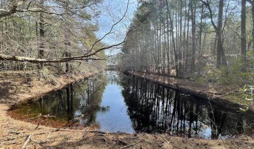 Photo #24 of Off Mini Road, Onley, VA 119.4 acres
