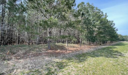 Photo #28 of Off Mini Road, Onley, VA 119.4 acres