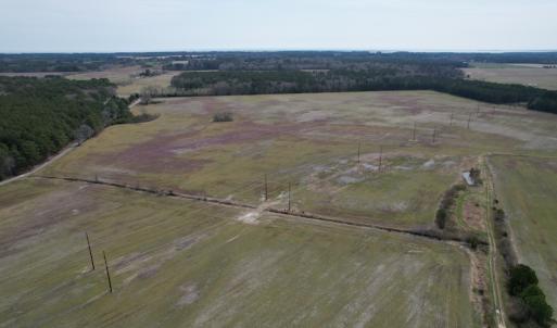 Photo #3 of Off Mini Road, Onley, VA 119.4 acres