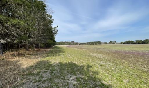 Photo #30 of Off Mini Road, Onley, VA 119.4 acres