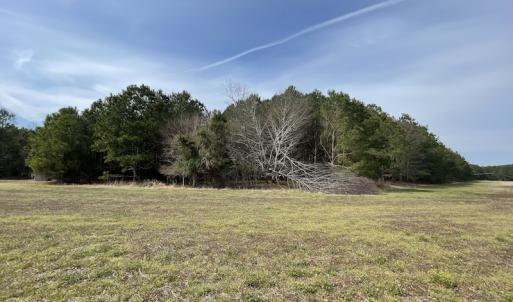 Photo #31 of Off Mini Road, Onley, VA 119.4 acres